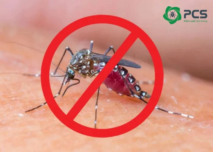 Tác hại mà muỗi gây nên 